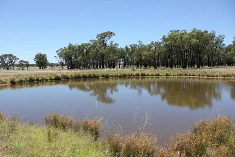 Main view of Homely rural property listing, 977 Schmidts Lane, Temora NSW 2666