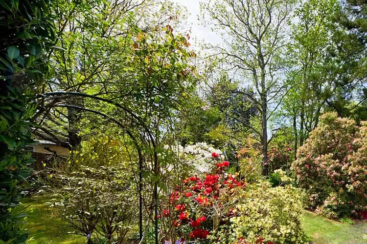 Second view of Homely land listing, 7 Shillington Street, Blackheath NSW 2785