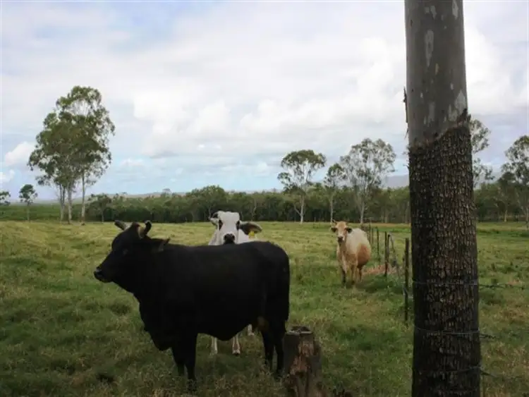 Sixth view of Homely land listing, 886 Sarina Beach Road, Sarina QLD 4737