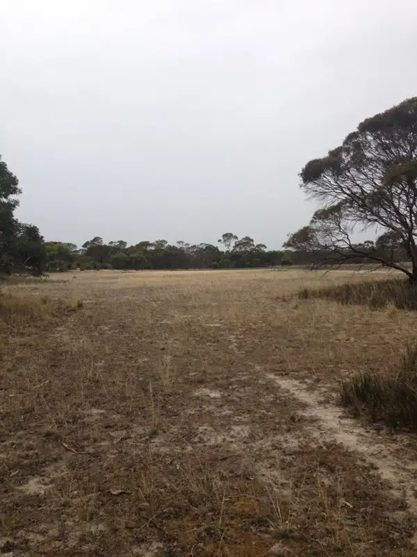 Seventh view of Homely rural property listing, Lot 50 Moeller Road, Coombe SA 5267