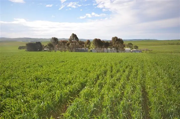 Second view of Homely rural property listing, "Oak Brae" 1197 Petherton Road, Booborowie SA 5417