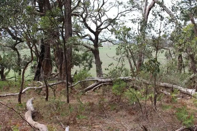 Sixth view of Homely land listing, Lot 4 and 5 Rarkang Road, Silverton SA 5204