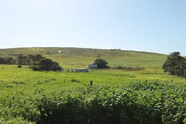 Third view of Homely rural property listing, Allotment 22 Hundred of Yaranyacka, Lipson SA 5607