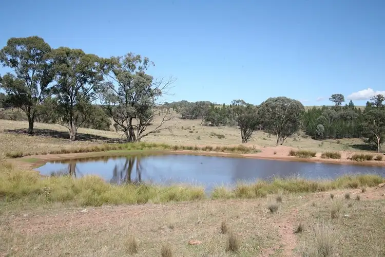 Fifth view of Homely rural property listing, 893 "Dulladerry" Monaghan Road, Manildra NSW 2865