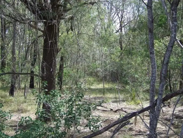 Seventh view of Homely rural property listing, L108 Dahl Road, Crows Nest QLD 4355