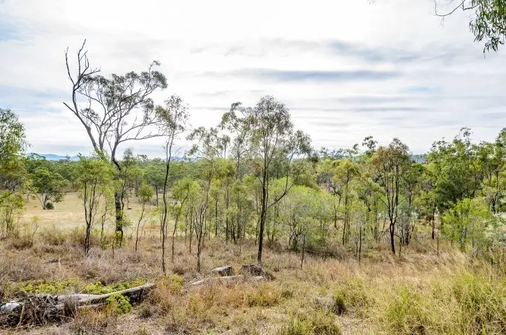 Fifth view of Homely house listing, 11 Riverview Drive, River Ranch QLD 4680