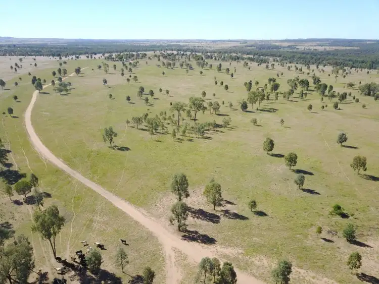 Seventh view of Homely rural property listing, 0 Newcamp, Roma QLD 4455