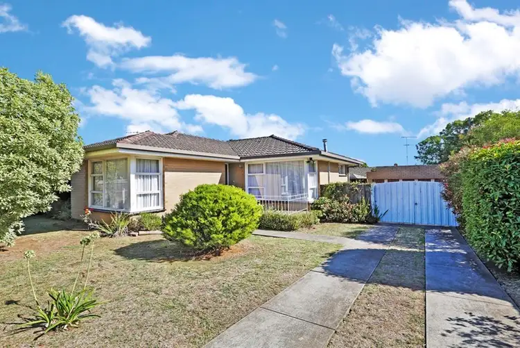 6 Walpole Avenue, Belmont VIC 3216