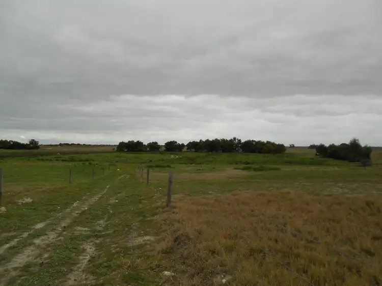 Sixth view of Homely rural property listing, Lot 10 Dukes Highway, Tintinara SA 5266