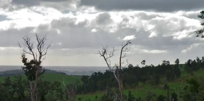Fourth view of Homely rural property listing, Lot 701 Gold Gully Road, Nannup WA 6275