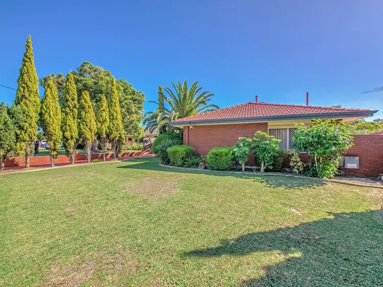 Third view of Homely house listing, 317 Alexander Drive, Dianella WA 6059