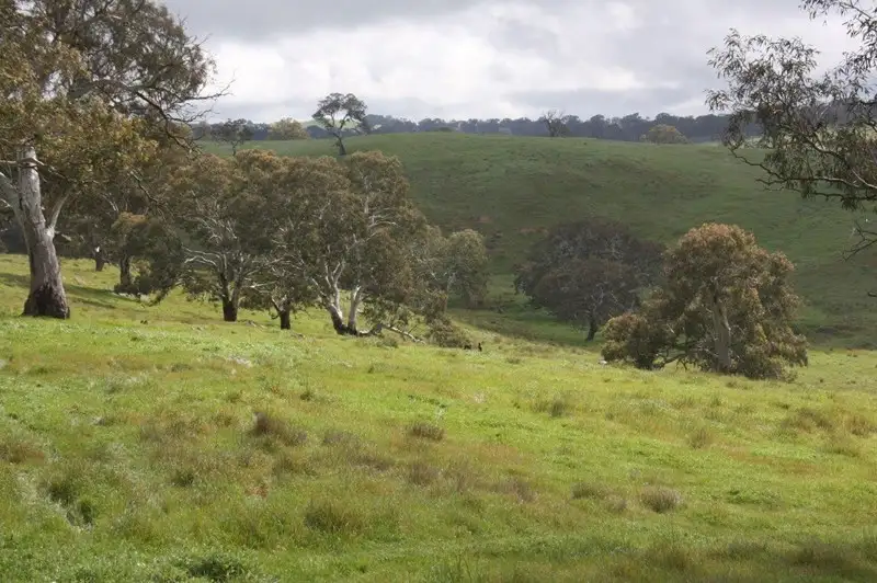 Main view of Homely rural property listing, Lot 203 Petwood Road, Nairne SA 5252