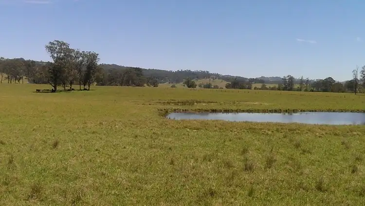 Lot 21, 1397 Dungog Road, Dungog NSW 2420