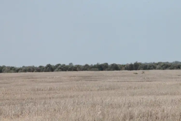 Fourth view of Homely rural property listing, Address available on request