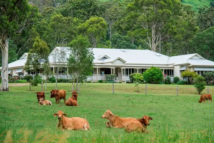 Seventh view of Homely rural property listing, 885 Browns Creek Road, Eerwah Vale QLD 4562