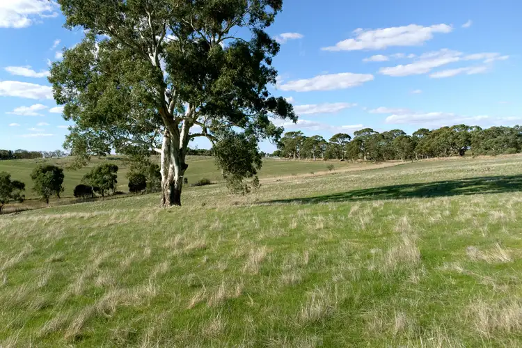 Seventh view of Homely land listing, LOT 296 Harrogate Road, Brukunga SA 5252