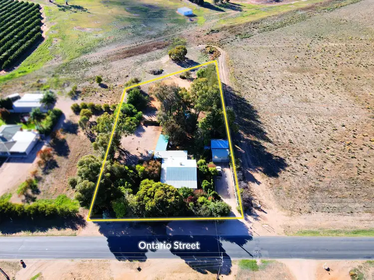 286 Ontario Street, Renmark SA 5341