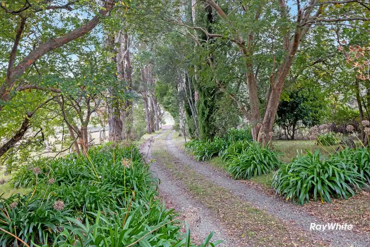 Fifth view of Homely house listing, 437 Larrys Mountain Road, Moruya NSW 2537