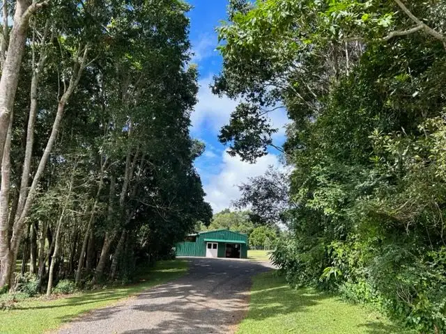 Sixth view of Homely rural property listing, 50 Glaspy Road, Malanda QLD 4885