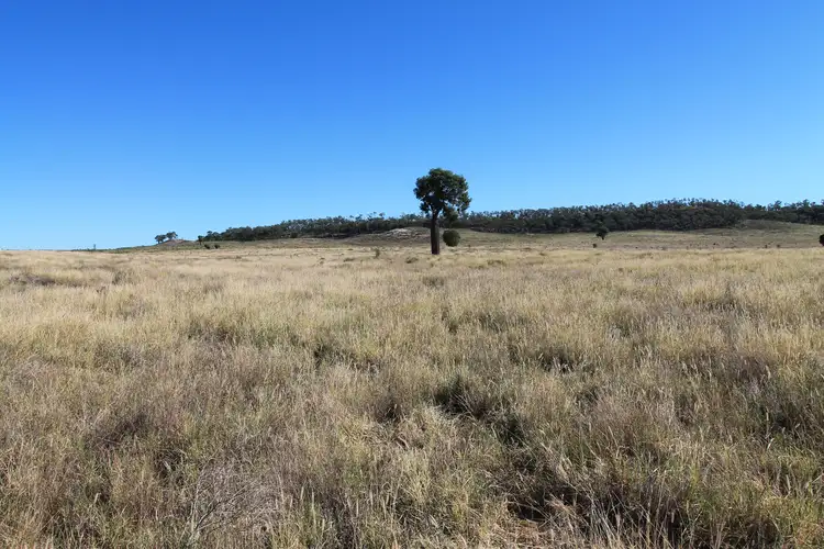 1003 Nebine Road, Morven QLD 4468