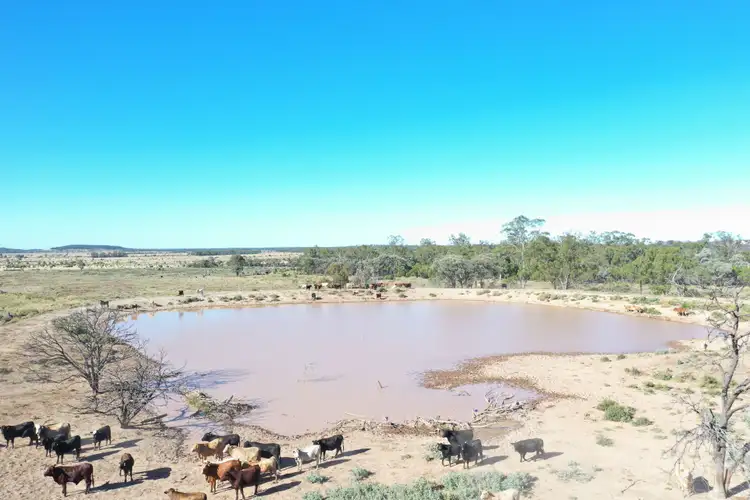 Fourth view of Homely rural property listing, 1003 Nebine Road, Morven QLD 4468