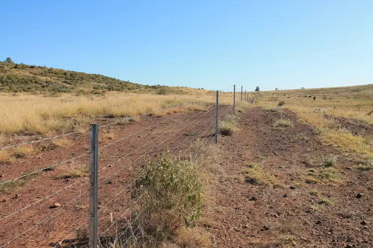 Seventh view of Homely rural property listing, 1003 Nebine Road, Morven QLD 4468