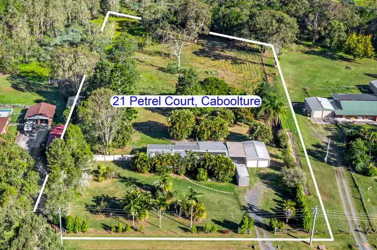 21 Petrel Court, Caboolture QLD 4510