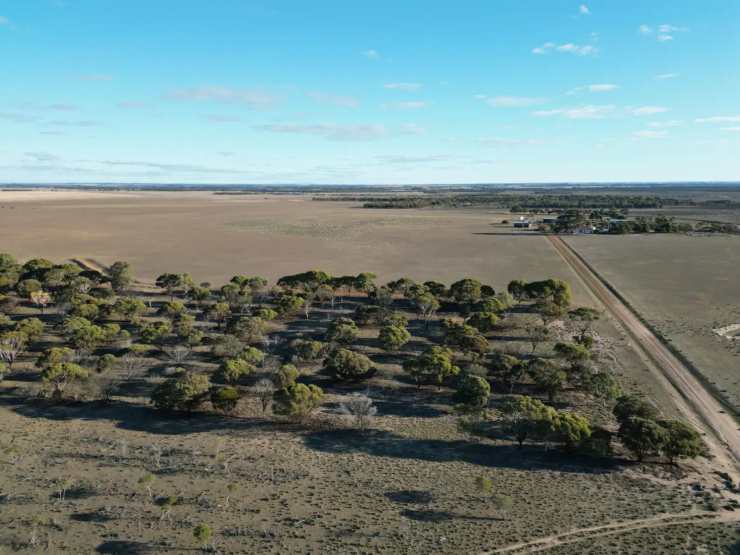Main view of Homely rural property listing, 1199 Range Road, Pingrup WA 6343