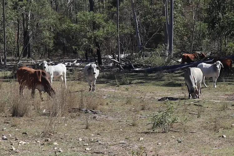 Second view of Homely rural property listing, Lot 2 Manar Road, Boondooma QLD 4613