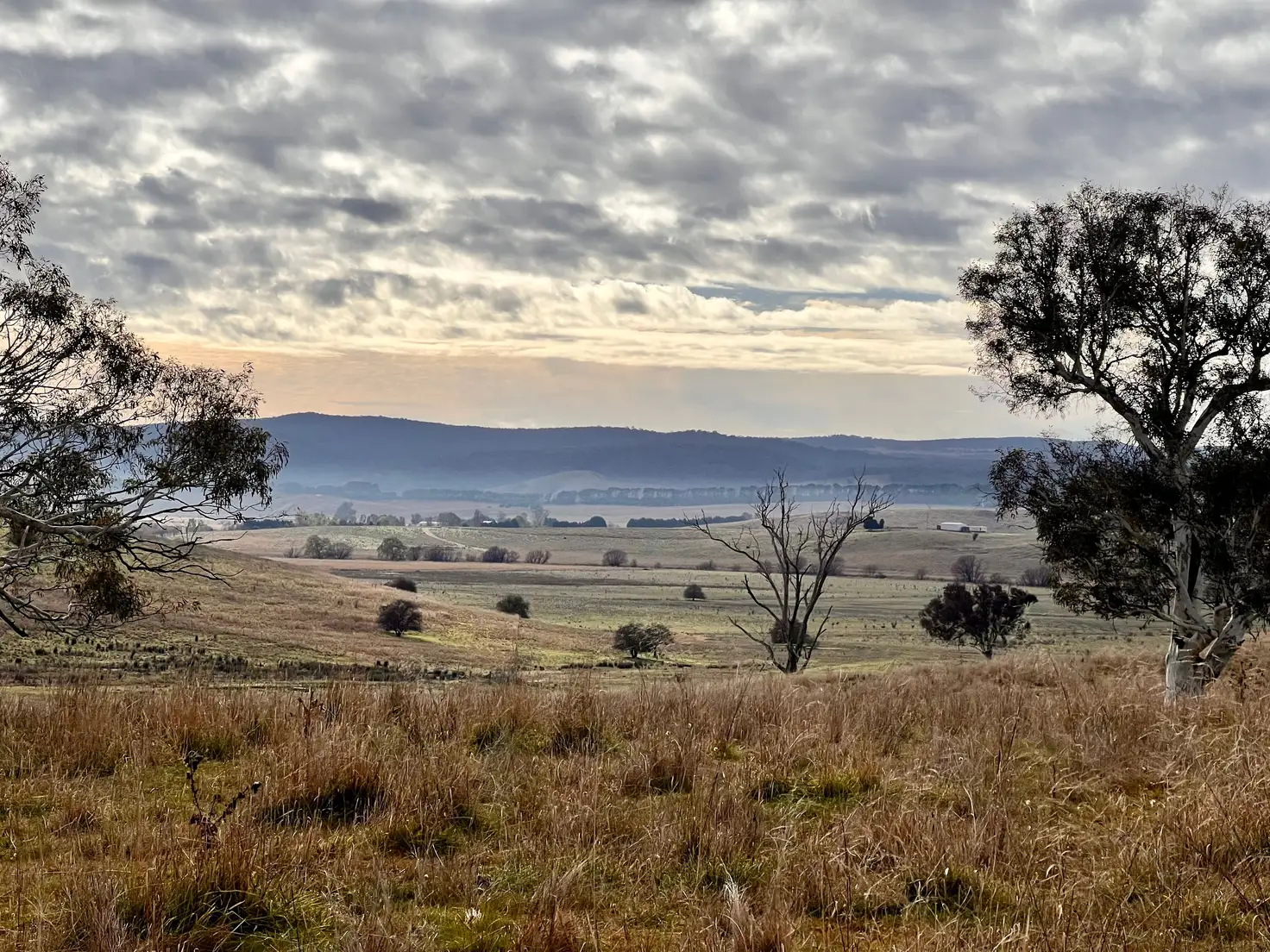 Main view of Homely land listing, 3152 Sutton Road, Sutton NSW 2620