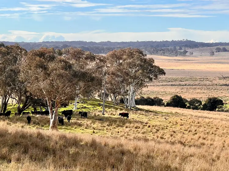 Third view of Homely land listing, 3152 Sutton Road, Sutton NSW 2620