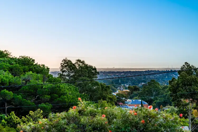 Third view of Homely house listing, 14 Camelia Street, Tea Tree Gully SA 5091
