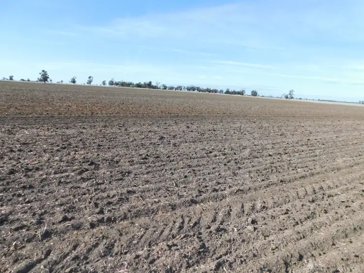 Third view of Homely rural property listing, Sec 792 & 793 Choopawhip Road, Wolseley SA 5269