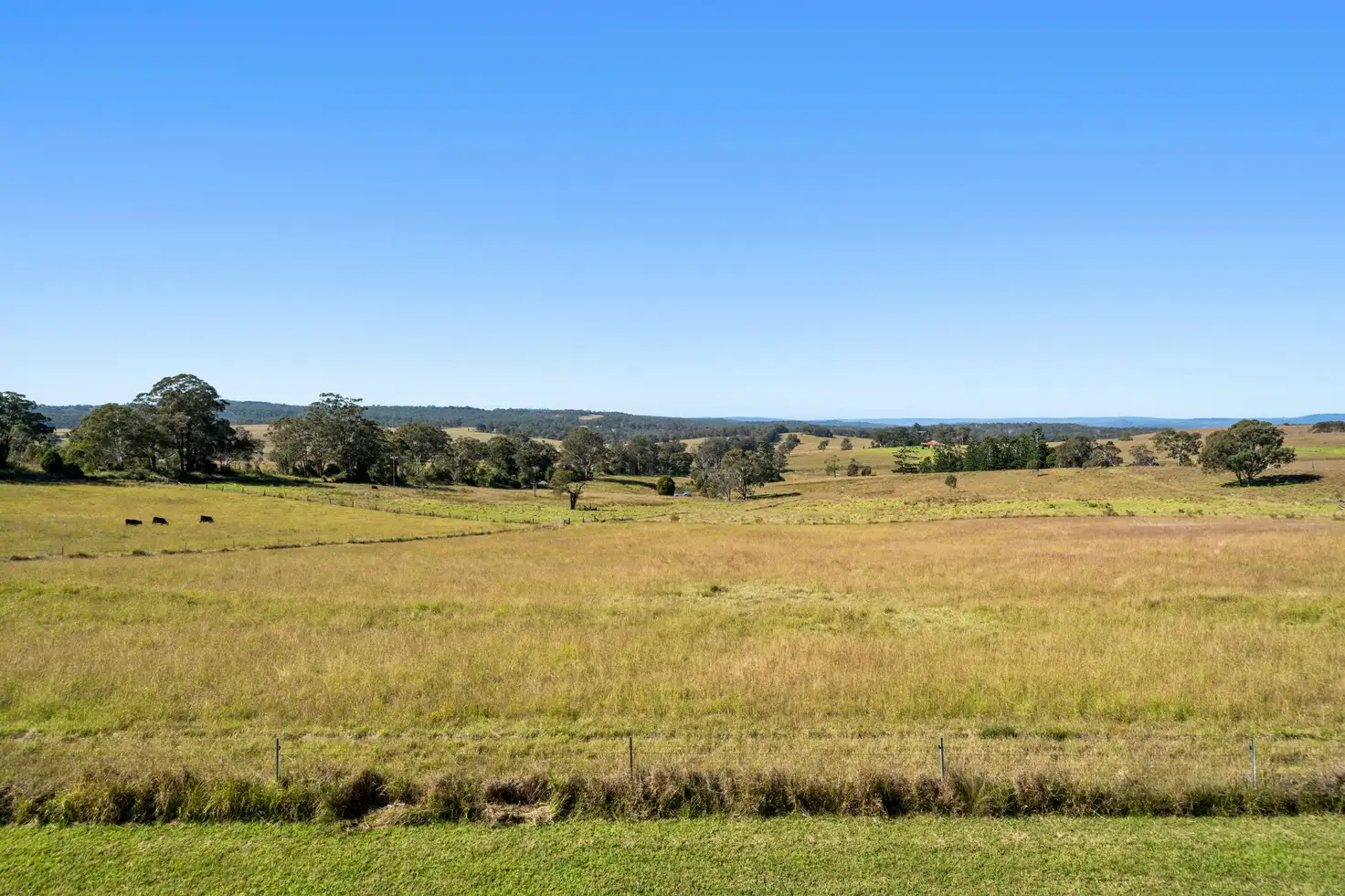 Main view of Homely rural property listing, 164 Byers Road, Crows Nest QLD 4355