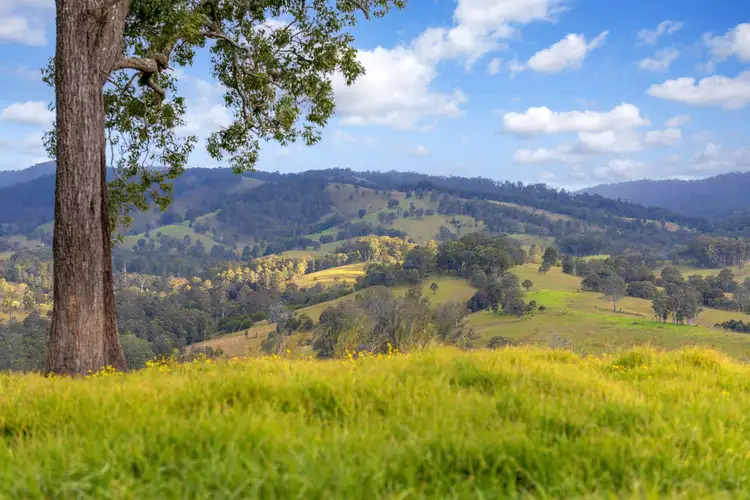 Fourth view of Homely rural property listing, 159 Yates Road, Bucca Wauka NSW 2429