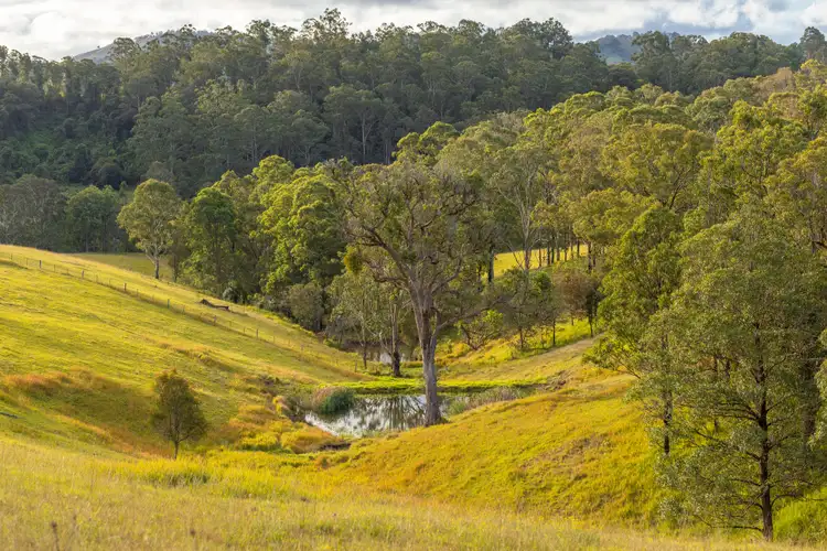 Fifth view of Homely rural property listing, 159 Yates Road, Bucca Wauka NSW 2429
