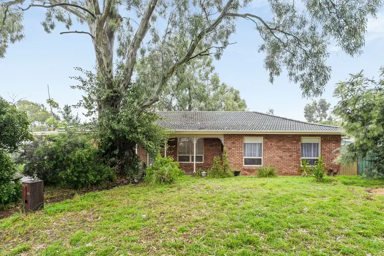 Main view of Homely house listing, 81 Black Road, Flagstaff Hill SA 5159