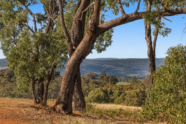 51 Honeyeater Way, Chittering WA 6084