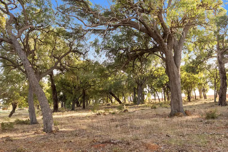 Sixth view of Homely land listing, 51 Honeyeater Way, Chittering WA 6084