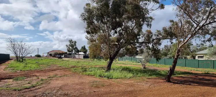 Fifth view of Homely land listing, 37 Carson Street, Mullewa WA 6630