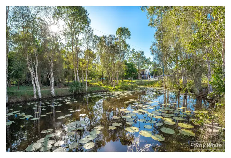 Second view of Homely rural property listing, 328 Sleipner Road, Mount Chalmers QLD 4702