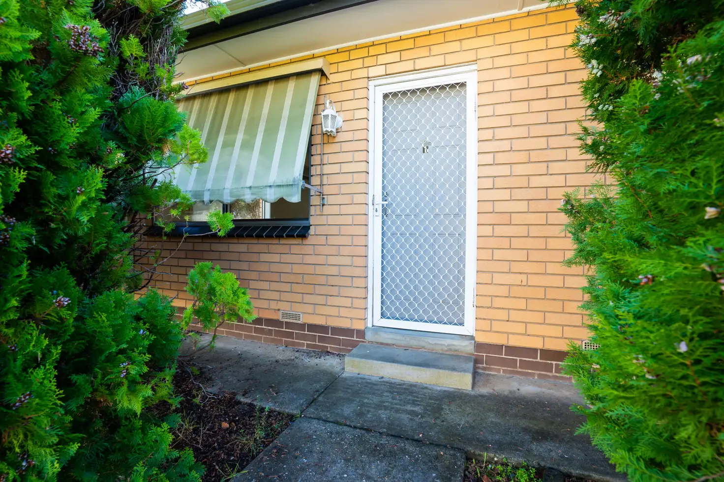 Main view of Homely unit listing, 1/388 Parnall Street, Lavington NSW 2641