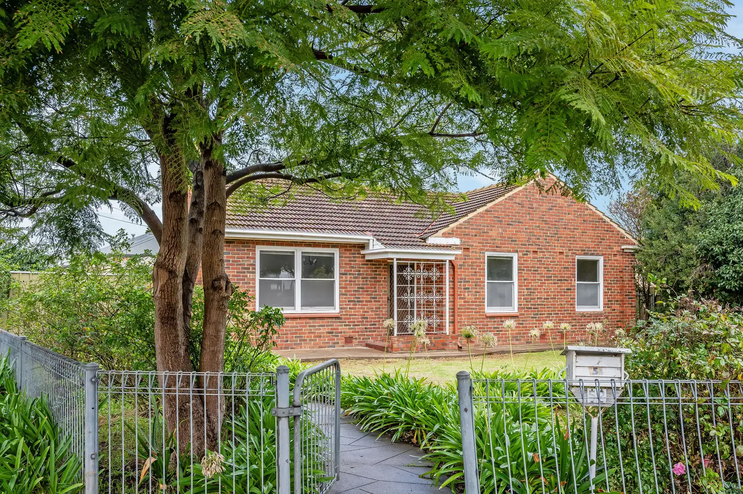 Main view of Homely house listing, 52 Fisk Avenue, Glengowrie SA 5044