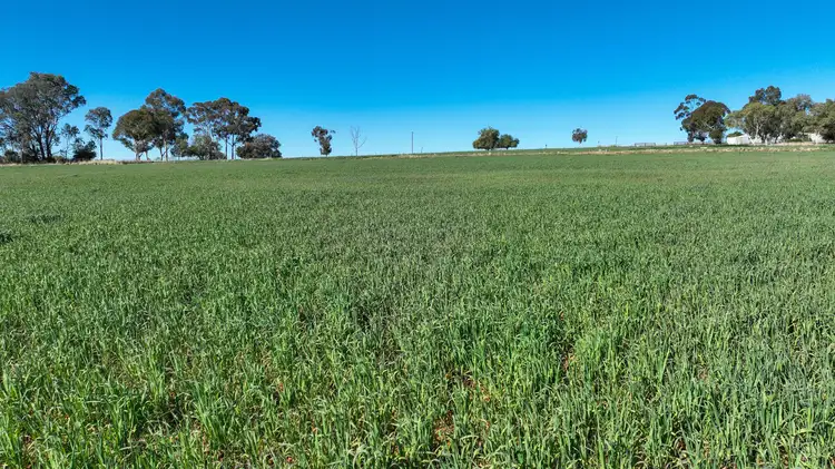 Main view of Homely rural property listing, 'Dieulefit' 1206 Marsden Park Road, Tamworth NSW 2340