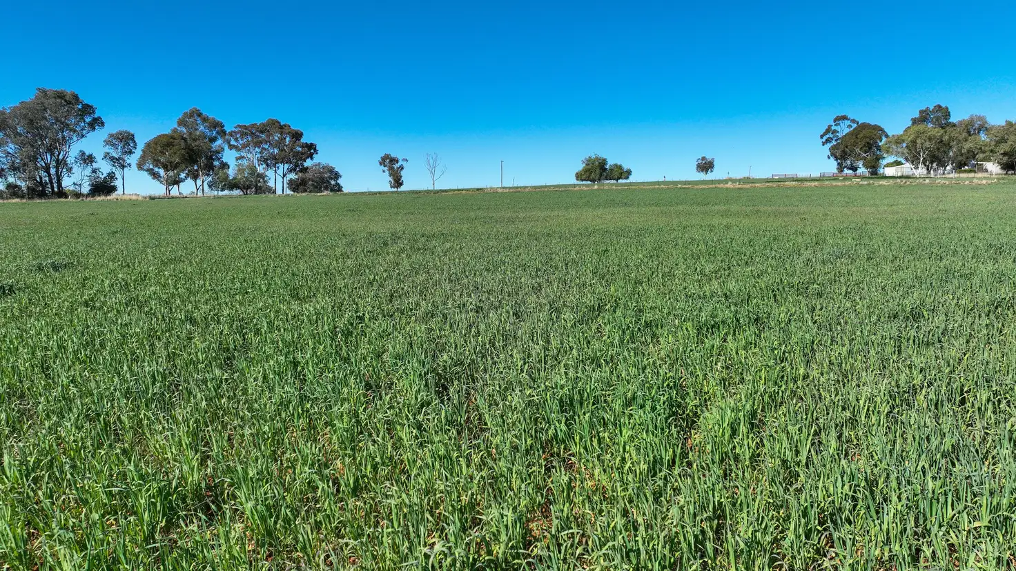 Main view of Homely rural property listing, 'Dieulefit' 1206 Marsden Park Road, Tamworth NSW 2340