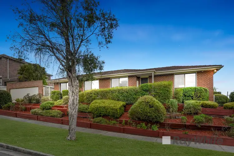 14 Sydney Parkinson Avenue, Endeavour Hills VIC 3802