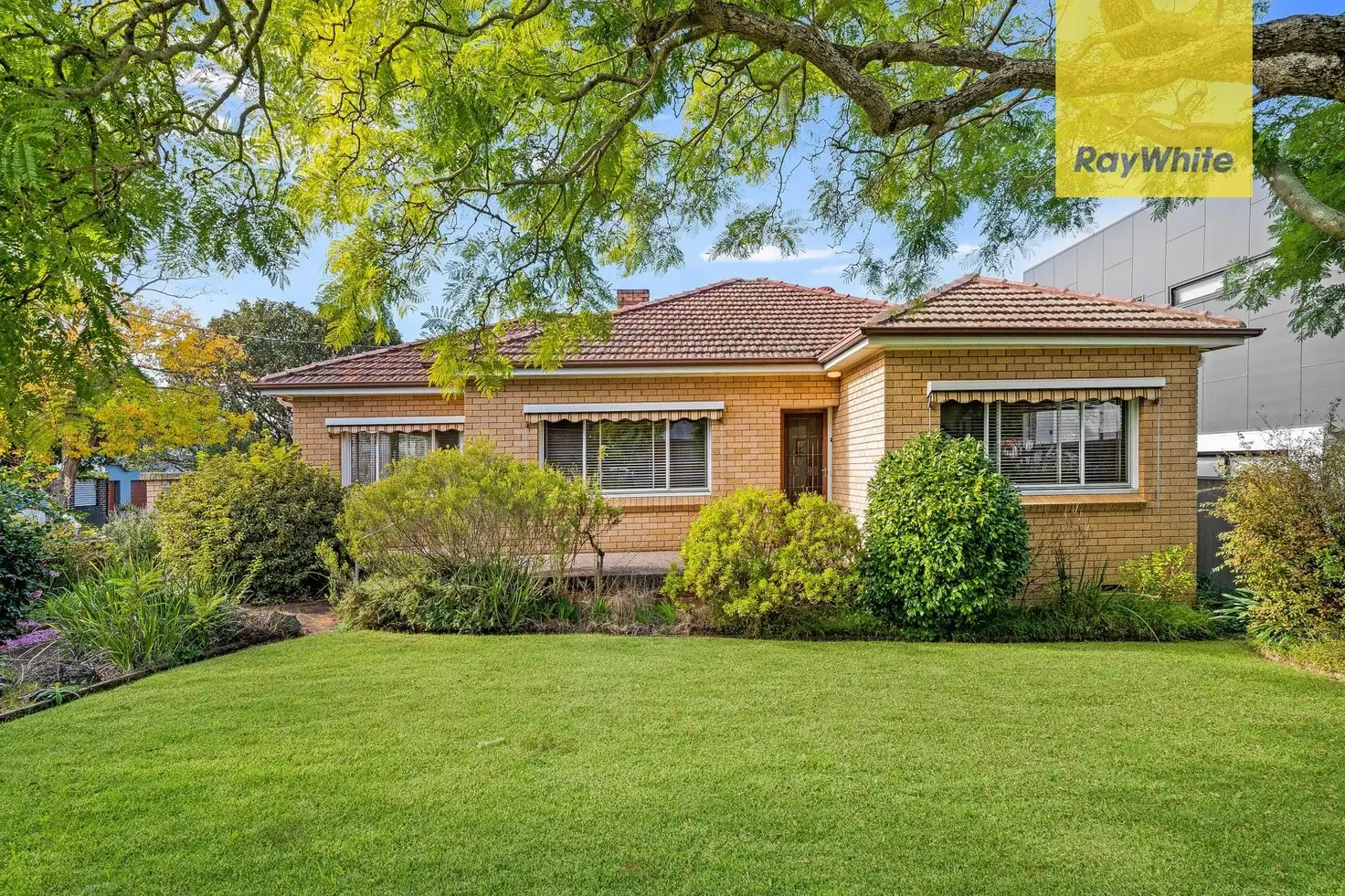 Main view of Homely house listing, 44 Tintern Avenue, Telopea NSW 2117