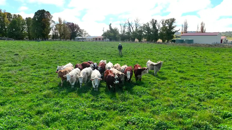 Second view of Homely rural property listing, 1/9272 New England Highway, Glen Innes NSW 2370