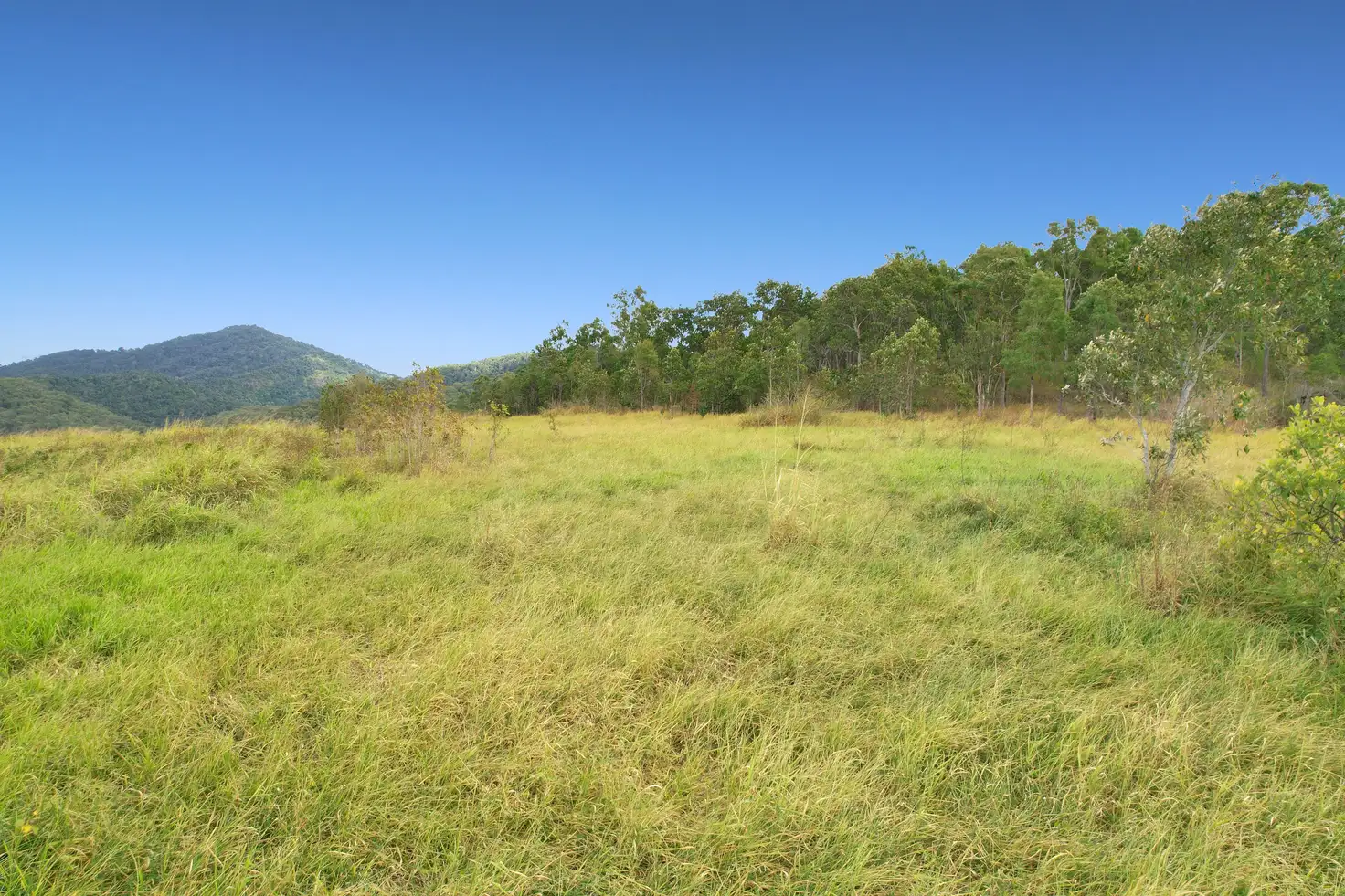 Main view of Homely rural property listing, 0 Adda Road, Sarina QLD 4737