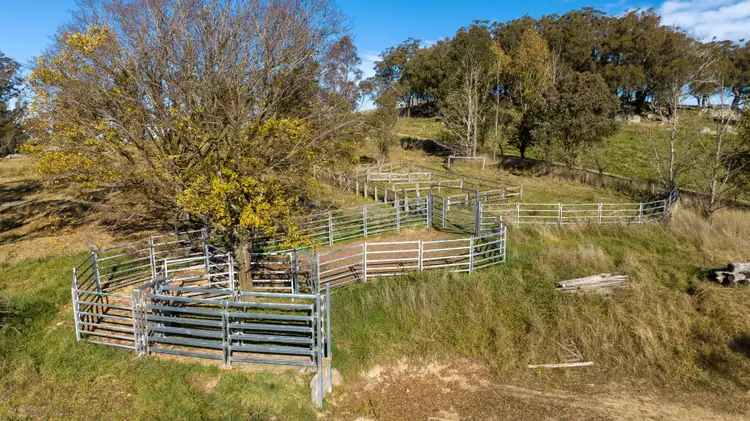 Seventh view of Homely rural property listing, 276 Claremont Road, Armidale NSW 2350